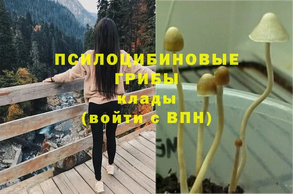 мяу мяу мука Няндома