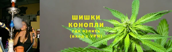 прущие грибы Нягань