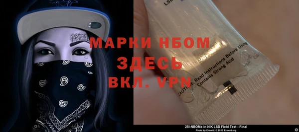 прущие грибы Нягань