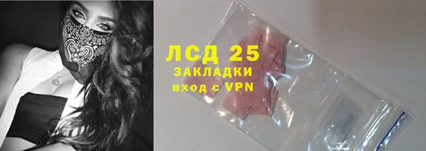 прущие грибы Нягань