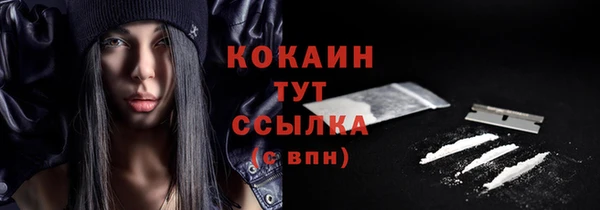 мяу мяу мука Няндома