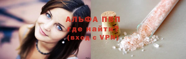 прущие грибы Нягань