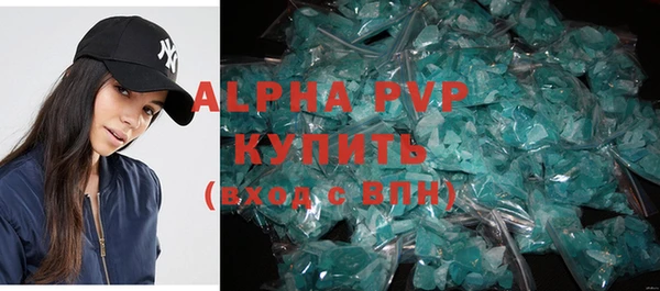 прущие грибы Нягань