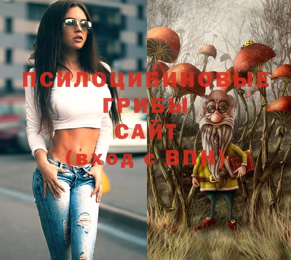 прущие грибы Нягань