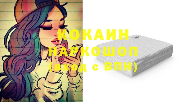 прущие грибы Нягань