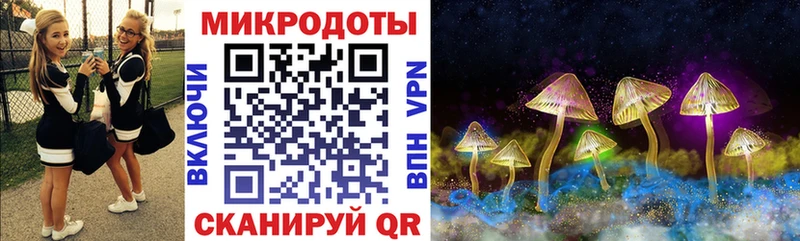 где купить наркоту  Тетюши  Псилоцибиновые грибы MAGIC MUSHROOMS 