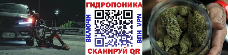 Шишки марихуана LSD WEED  OMG как войти  Тетюши 